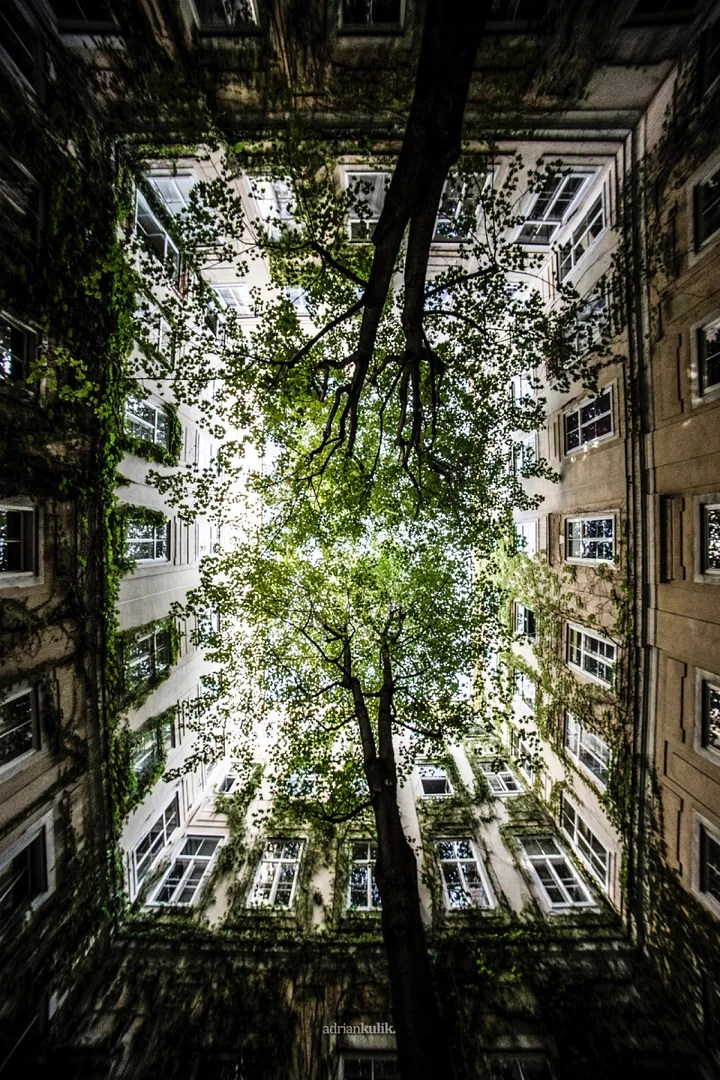 The Pros and Cons of Including Loans in Your Company Retirement&nbsp;Plan